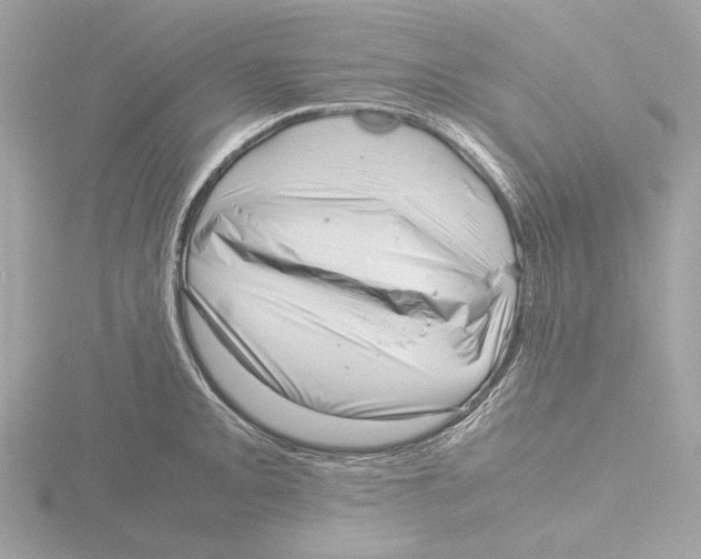 X0000116141093200912211443