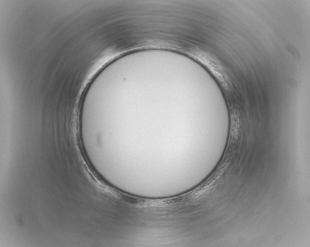 X0000116141094200912211443