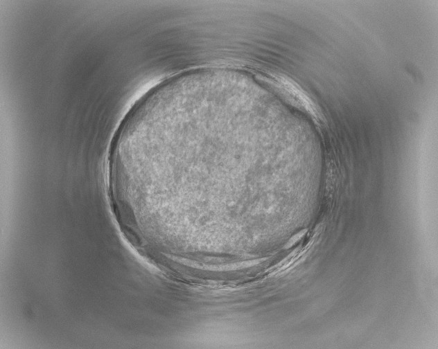 X0000116141095200912211443