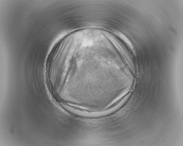 X0000116141096200912211443