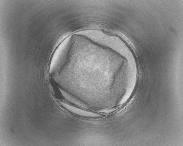 X0000116141097200912211443