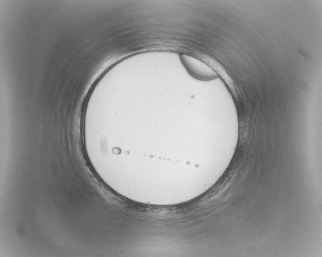 X0000116141099200912211443