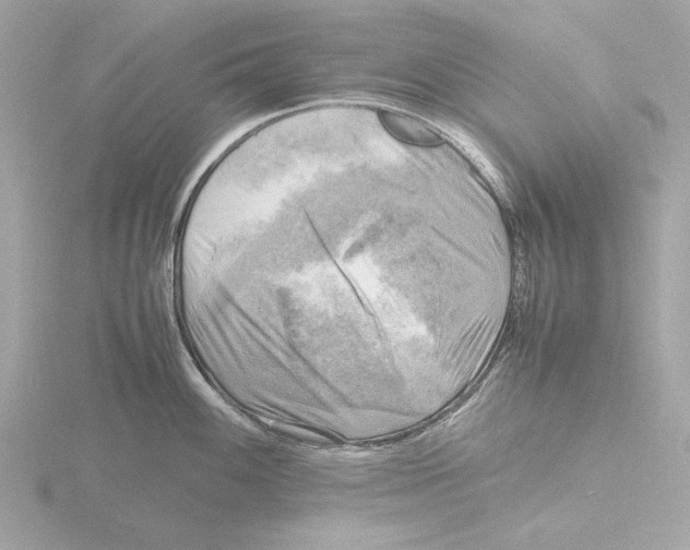 X0000116141100200912211443