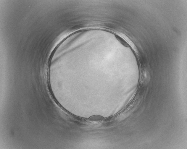 X0000116141101200912211443