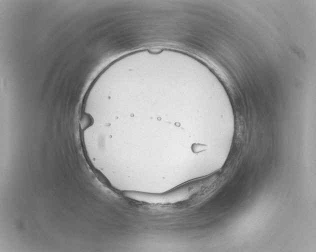 X0000116141102200912211443