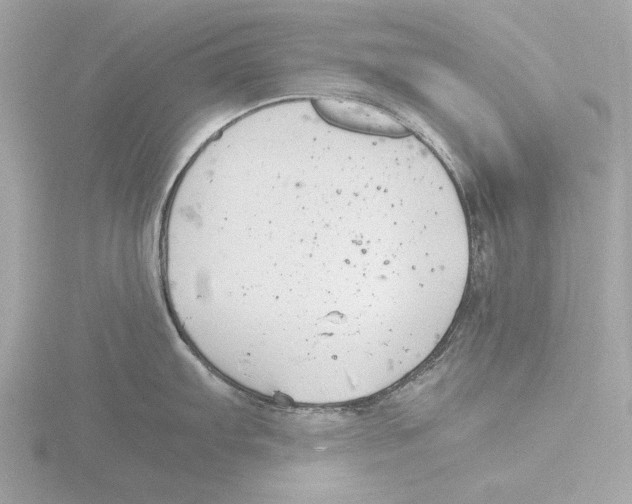 X0000116141103200912211443