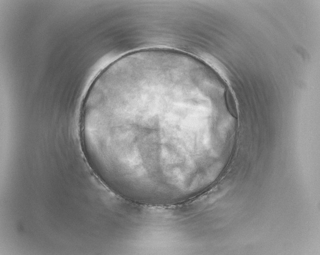 X0000116141104200912211443