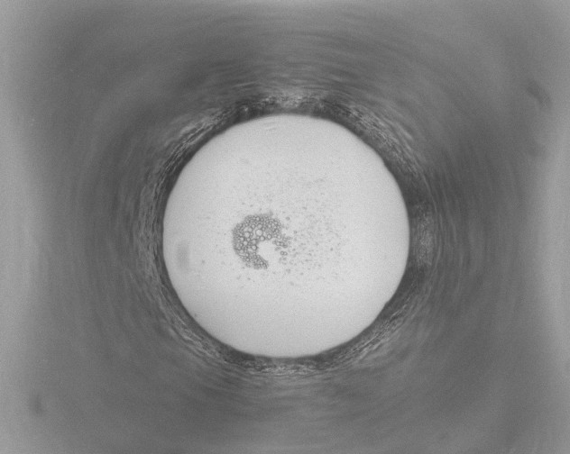 X0000116141105200912211443