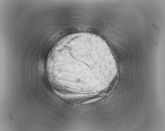 X0000116141106200912211443