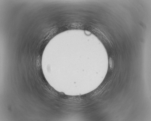 X0000116141107200912211443