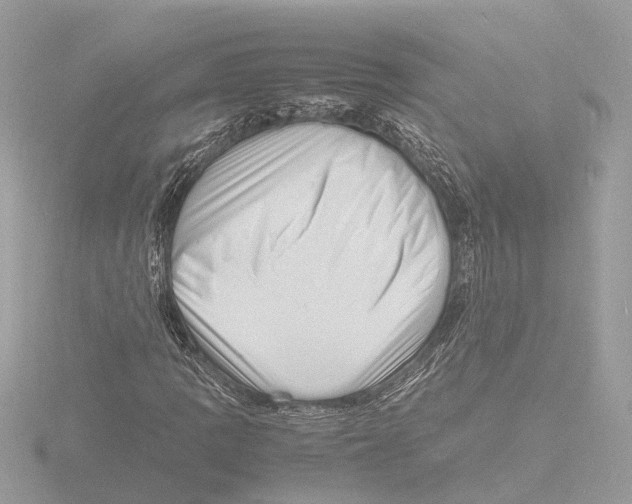 X0000116141109200912211443