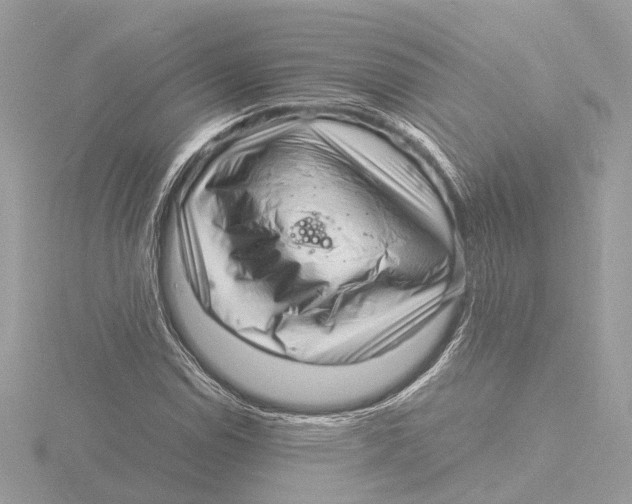 X0000116141114200912211443