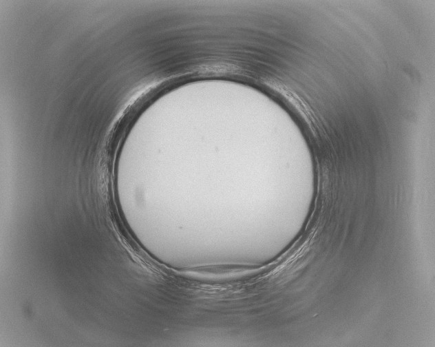 X0000116141115200912211443