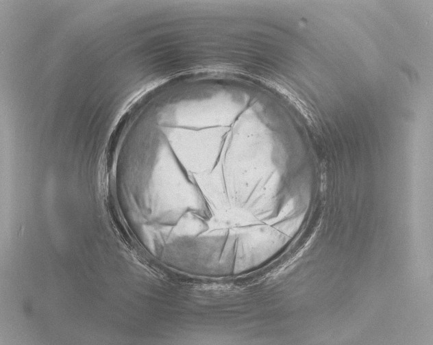 X0000116141117200912211443