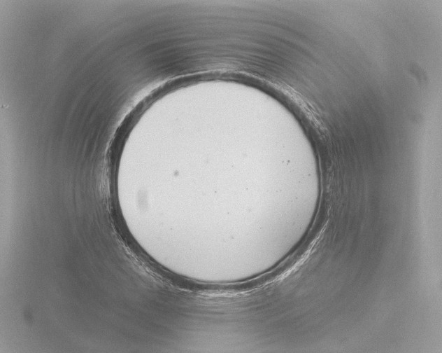 X0000116141118200912211443