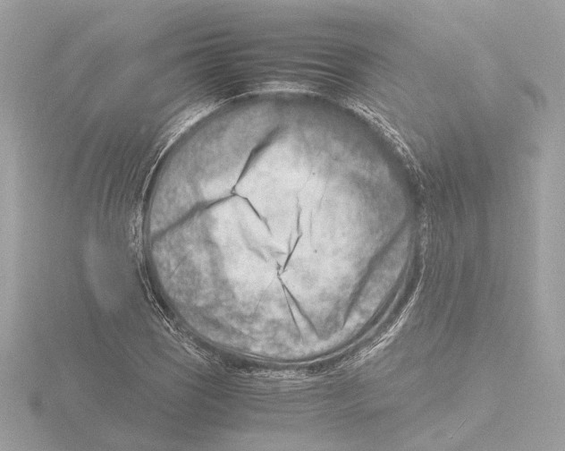 X0000116141121200912211443