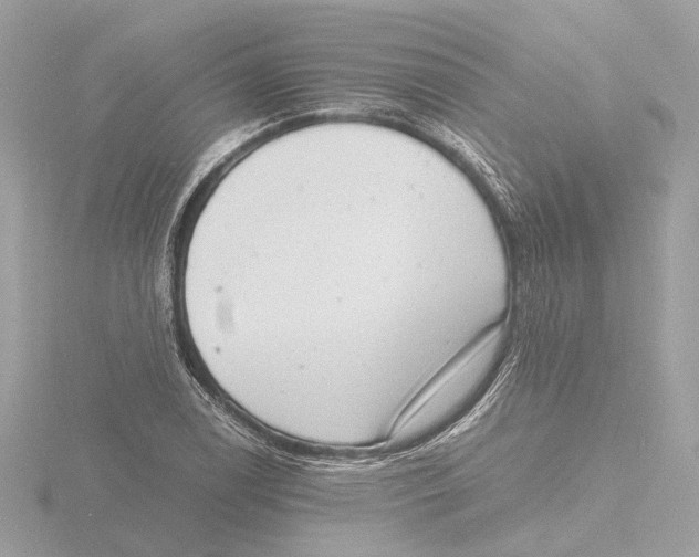 X0000116141122200912211443