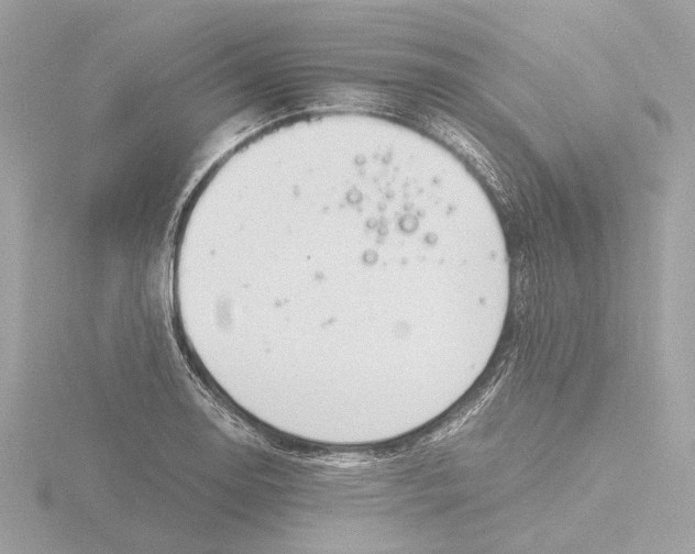 X0000116141130200912211443