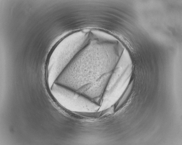 X0000116141134200912211443