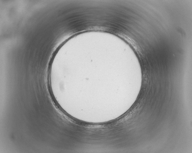 X0000116141135200912211443