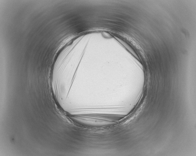 X0000116141137200912211443