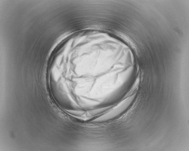 X0000116141138200912211443