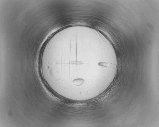 X0000116141139200912211443