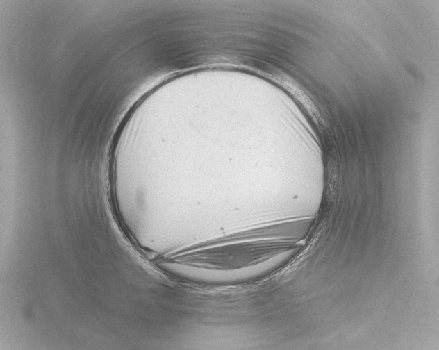 X0000116141142200912211443