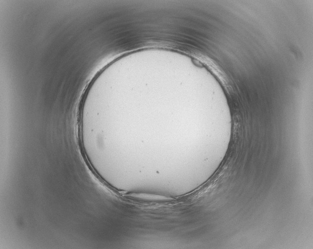 X0000116141143200912211443