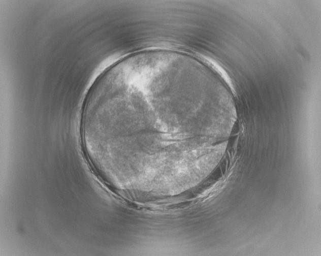 X0000116141146200912211443