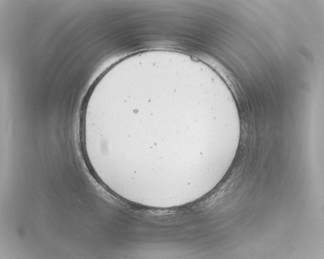 X0000116141147200912211443