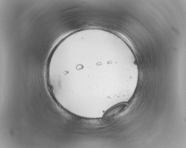 X0000116141149200912211443