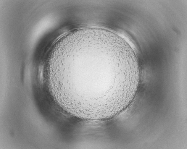 X0000116141150200912211443