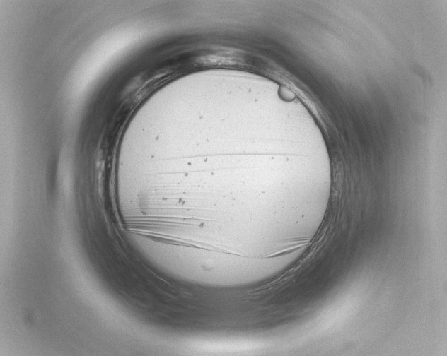 X0000116141151200912211443