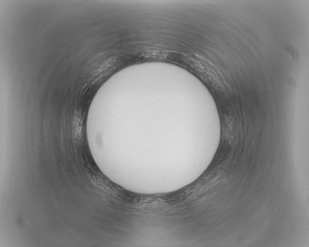 X0000116141154200912211443