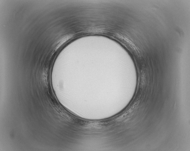 X0000116141162200912211443