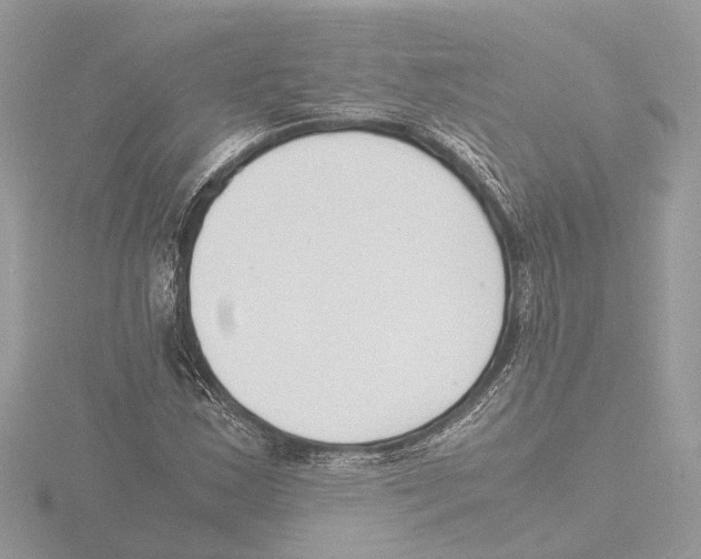 X0000116141163200912211443