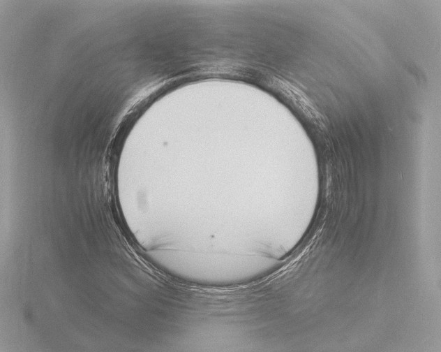 X0000116141164200912211443