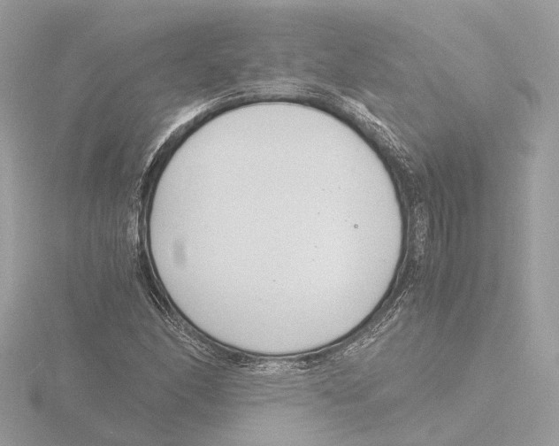 X0000116141166200912211443