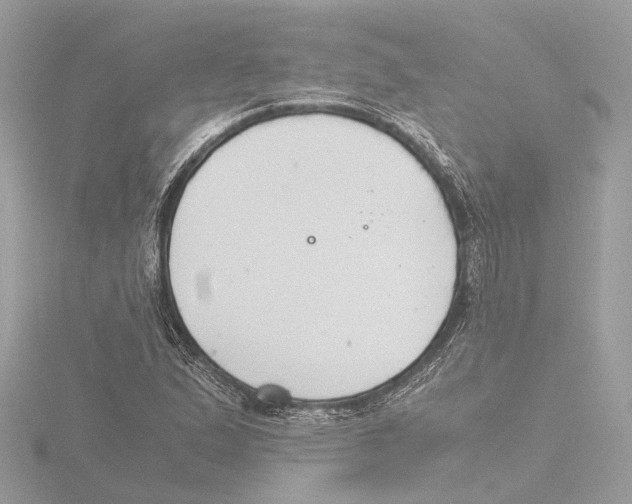 X0000116141167200912211443