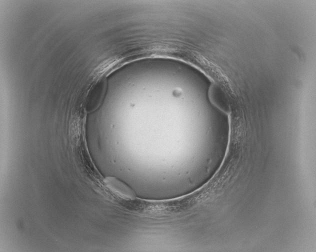 X0000116141169200912211443