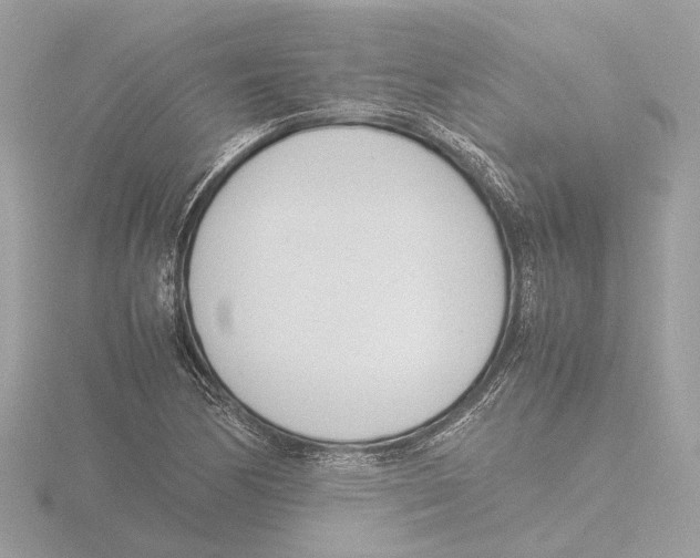 X0000116141170200912211443