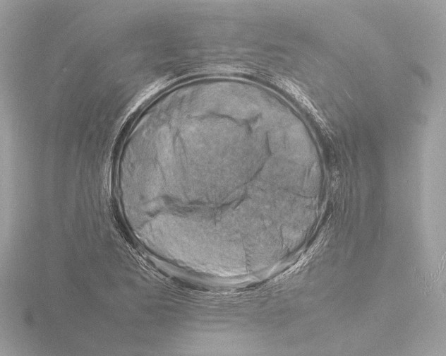 X0000116141173200912211442