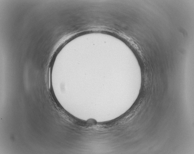 X0000116141175200912211442