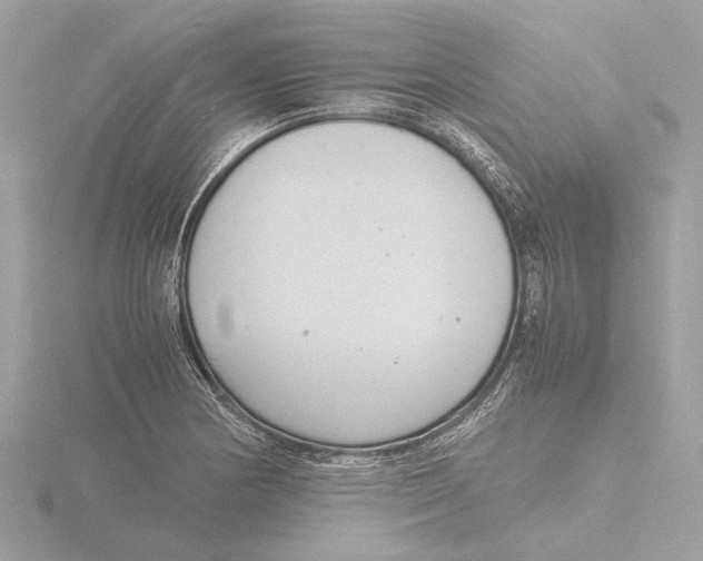 X0000116141178200912211442