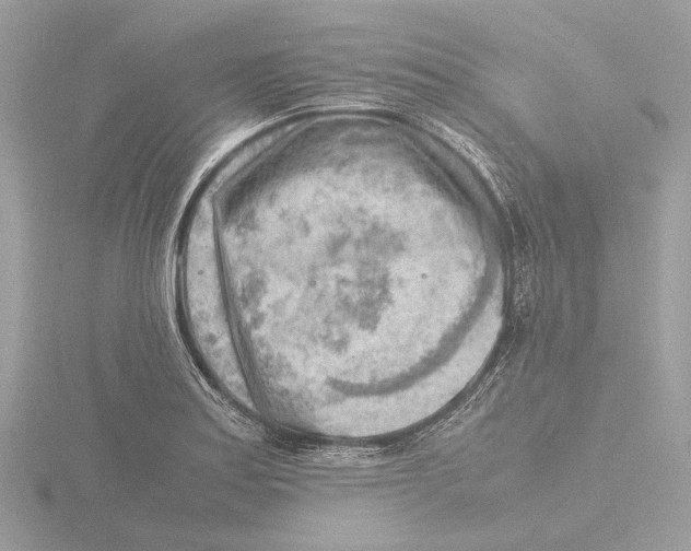 X0000116141179200912211442