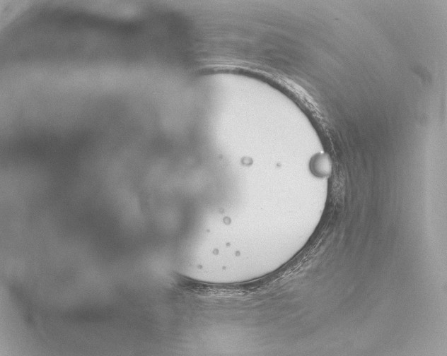 X0000116141183200912211442