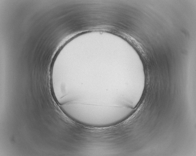 X0000116141184200912211442