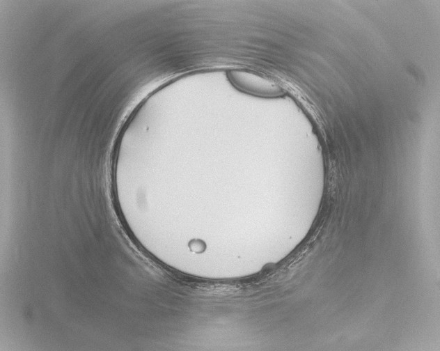 X0000116141187200912211442