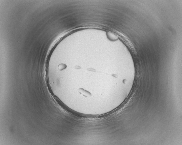 X0000116141188200912211442